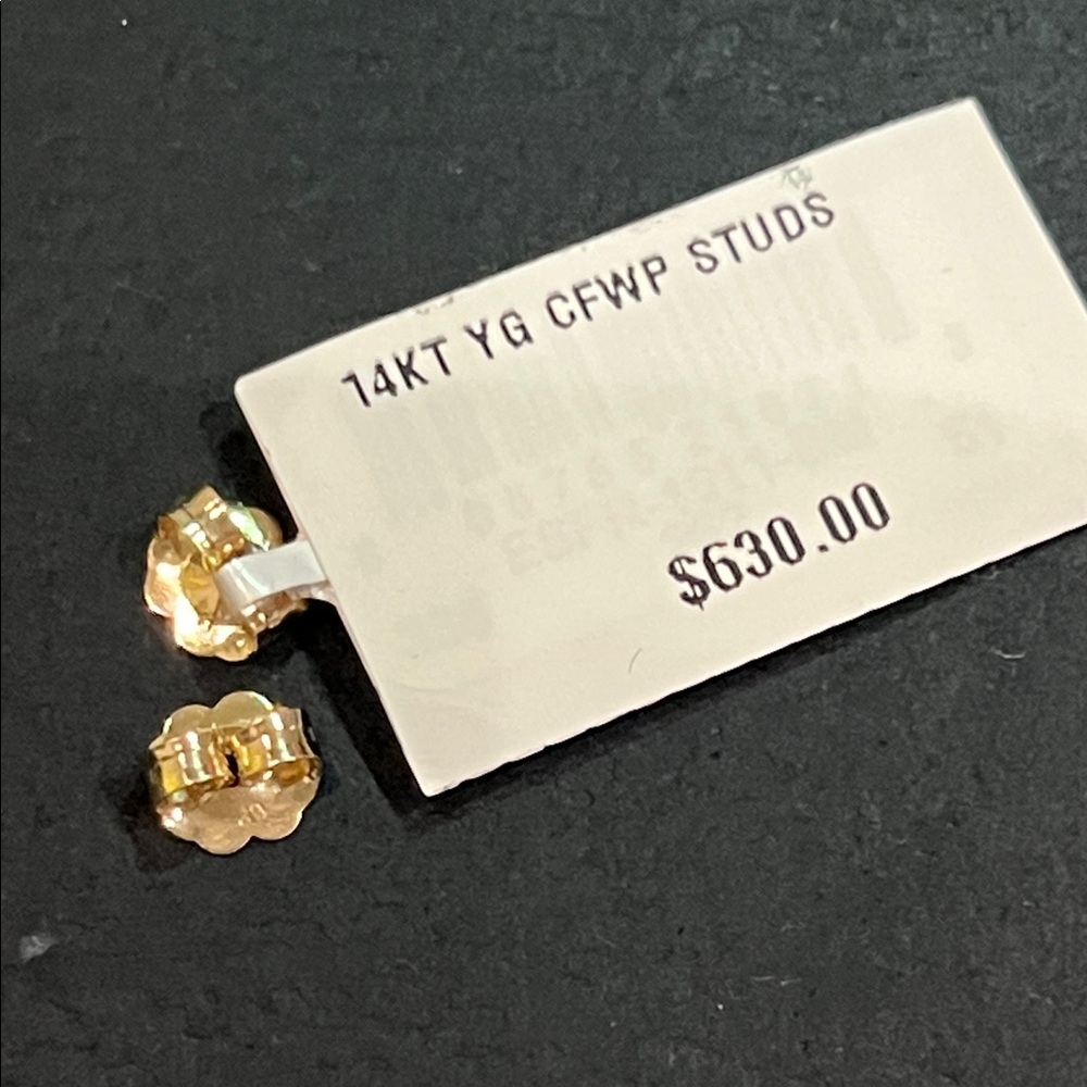 14KT Yellow Gold Earrings Backs New